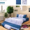 Mẫu chăn ga gối classic cotton mã C18-C62 C18 C62 2 1