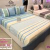 tổng kho chăn ga gối Elegance E18-06