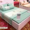 Chăn ga gối Home mã S17-05 S17 05