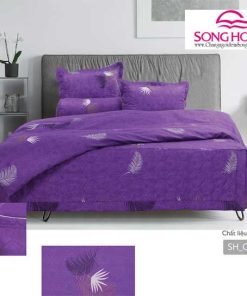 Mẫu chăn ga gối cotton Classic mã C19-C79