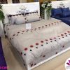 Mẫu chăn ga gối cotton Classic mã C19-C68 C68 1 changagoi Classic