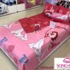 DN19 020 1 changagoi disney