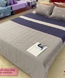 Bộ chăn ga gối chăn ga gối Basic mã màu BC02(SH_BC20002)