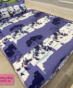 Mẫu sản phẩm mã BC10