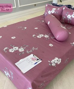 Mẫu chăn ga gối Basic bc12