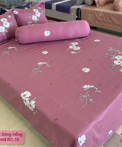Bộ chăn ga gối mã BC12