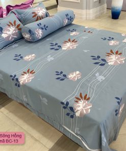 Địa chỉ cung cấp chăn ga gối Basic BC13