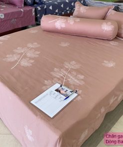 Mẫu chăn ga gối Sông Hồng Basic Bc16 chất lượng cao
