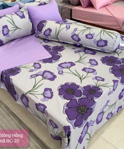Mẫu chăn ga gối Basic mã BC25