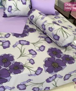Mẫu chăn ga gối Basic chất lượng cao mã BC25