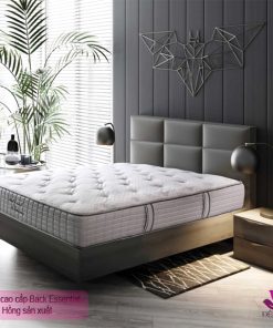 Đệm Sông Hồng cao cấp Back Essential dem Back Essential