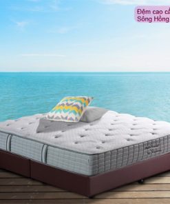 Đệm Sông Hồng cao cấp Back Essential dem Song Hong BackEssential