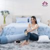 Giới thiệu mẫu chăn ga gối Sông Hồng mã mầu UC22-016