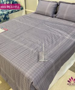 Giới thiệu mẫu chăn ga gối Sông Hồng Basic 100% cotton mã BC22 052