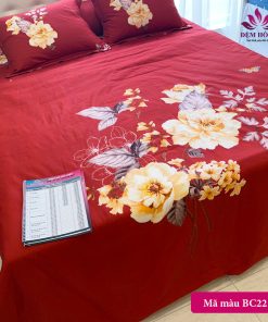Nơi cung cấp chăn ga gối Cotton Sông Hồng BC22-064