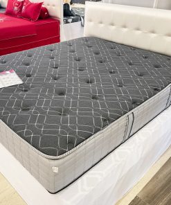 Đệm Sông Hồng cao cấp Back Essential DEM BACK ESSENTIAL TOI MAU