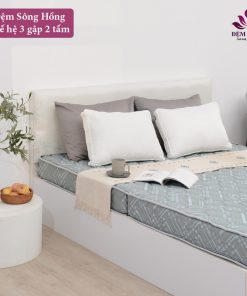 Đệm bông siêu nảy Sông Hồng Natural Fiber - Bảng giá khuyến mại Dem Song Hong th34