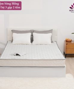Đệm bông siêu nảy Sông Hồng Natural Fiber - Bảng giá khuyến mại Dem Song Hong th38