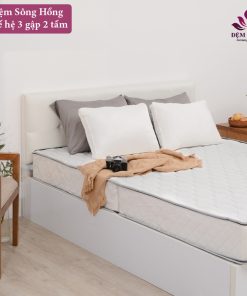 Đệm bông siêu nảy Sông Hồng Natural Fiber - Bảng giá khuyến mại Đệm Sông Hồng siêu nảy TH3