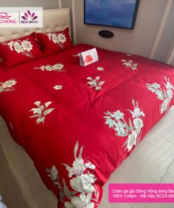 Chăn ga gối Sông Hồng Basic mã Bc23-086 vải cotton 100%