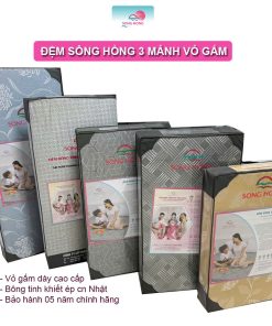 Đệm bông tinh khiết Sông Hồng chính hãng 3 mảnh gấm