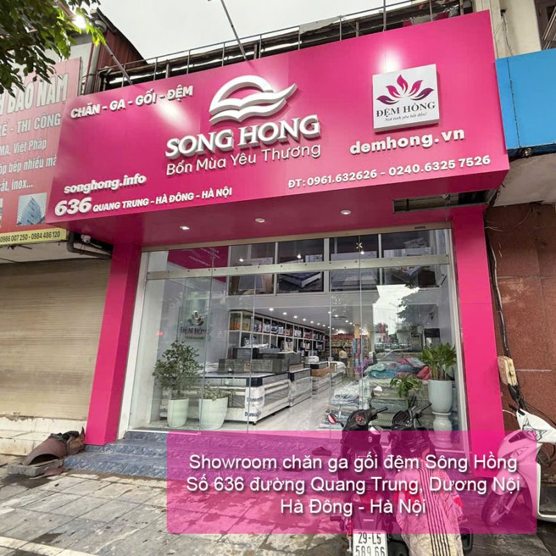 Showroom Song Hong 636 Quang Trung Ha Dong